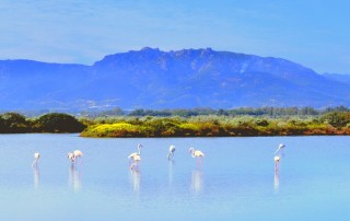 Laguna di Nora ok