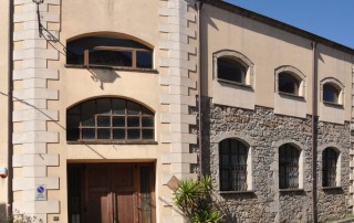 Cuglieri_frantoio zampa