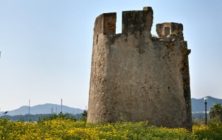 Capoterra_torresuloi