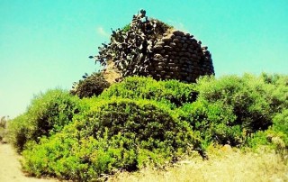 Porto Torres_Nuraghe Nieddu