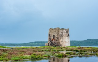 Torre Vecchia 2_TERRALBA