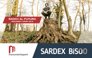 card sadex bisoo