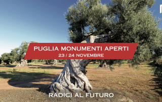 schermata puglia per sito