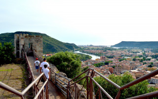 Bosa 2