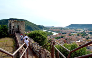 Bosa 2