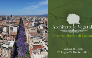 1920x1080 Architetture Vegetali