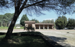 Villasor_Parco-comunale-5-503x465