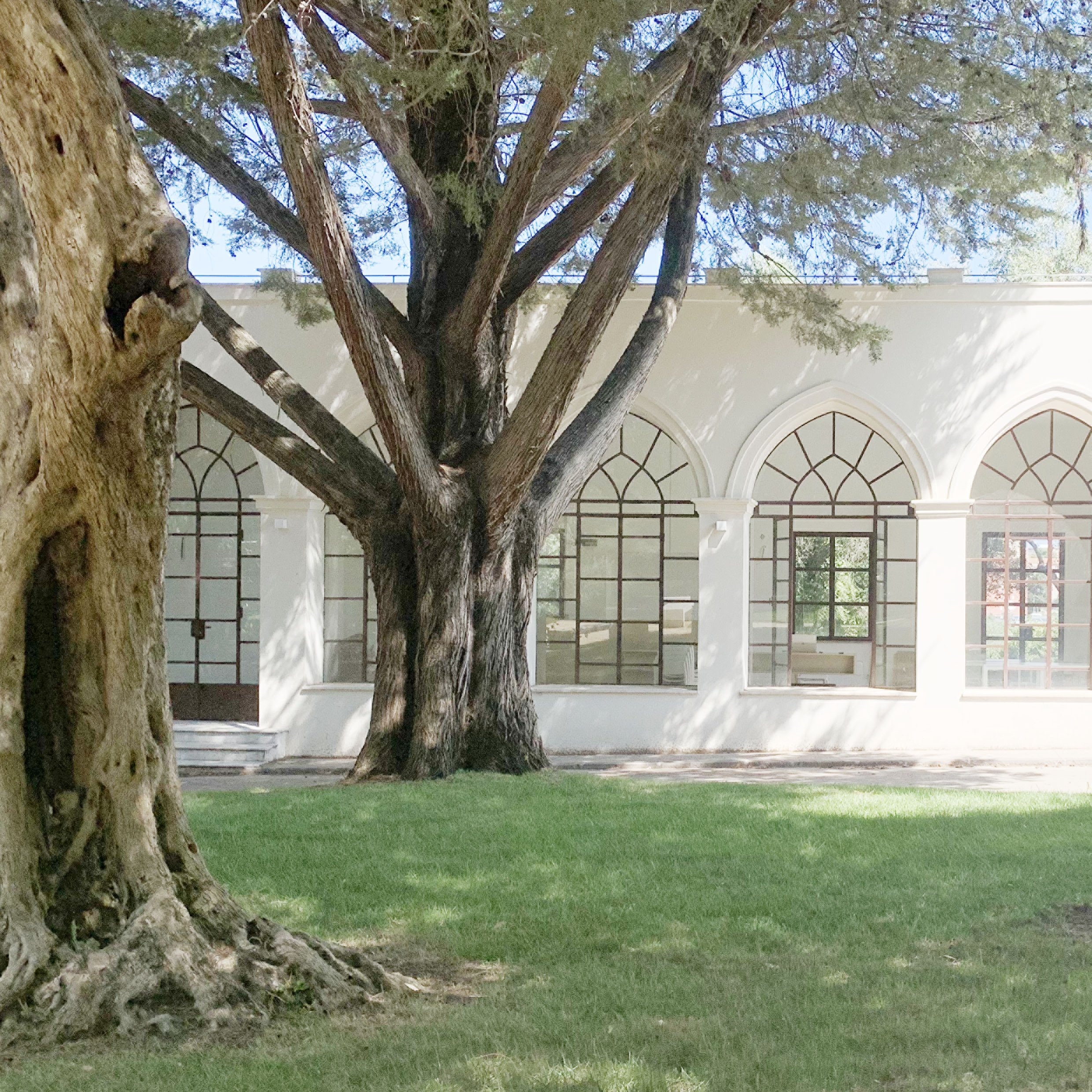 Foto Ex Colonia Campestre_1