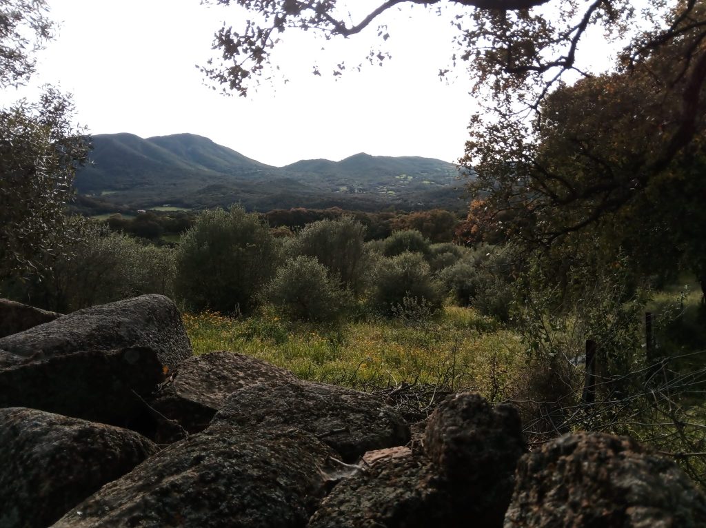 Sibiri_paesaggio