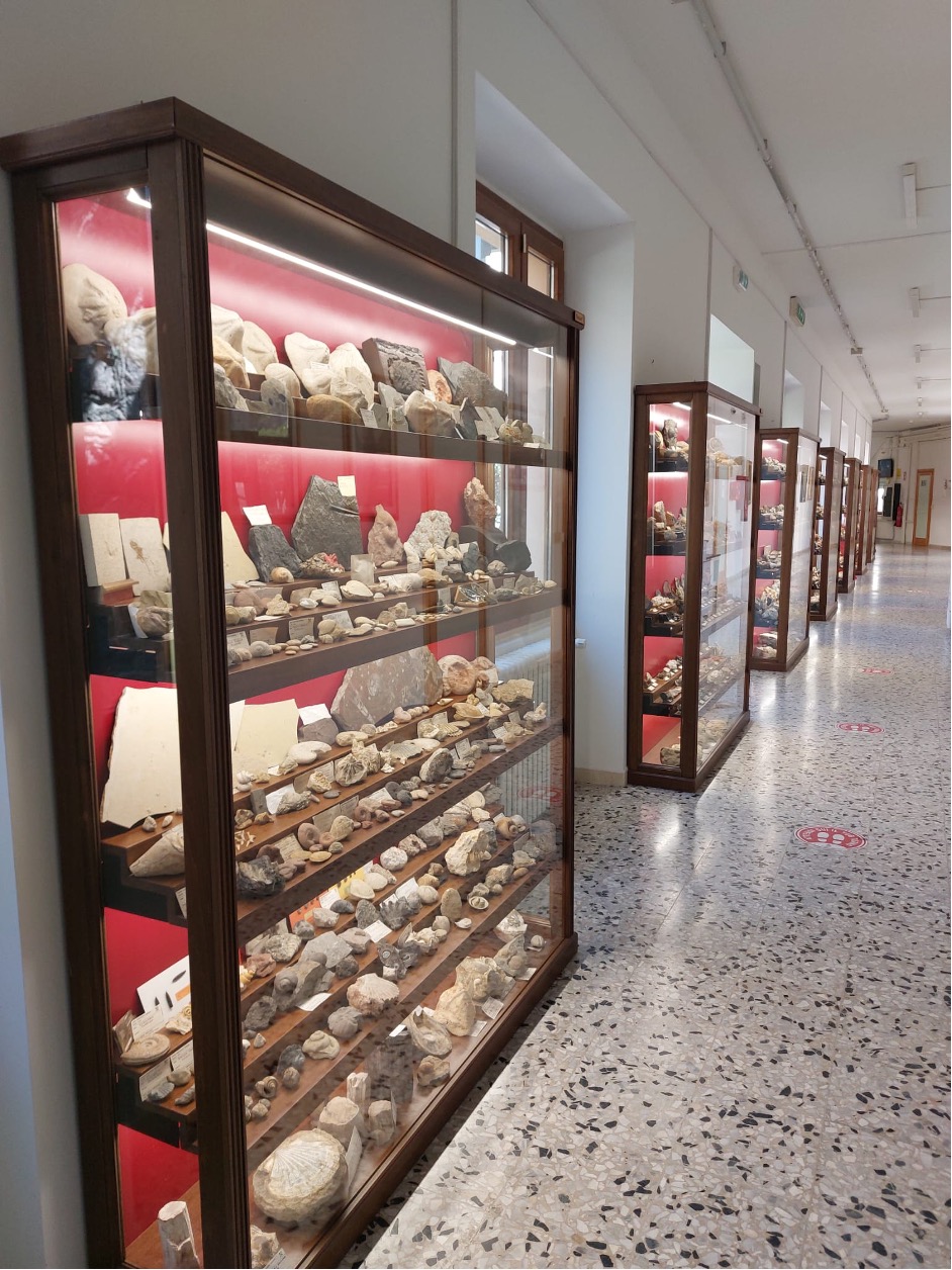 OSSI Monumento 9 Collezione minerali di Carlo Ventacoli