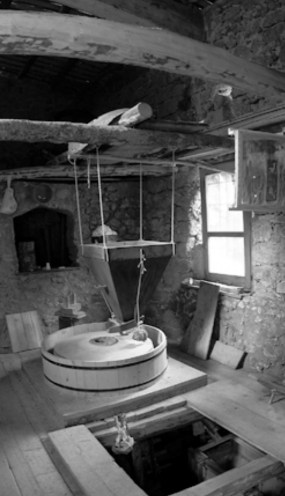 Screenshot 2026-02-19 alle 10.05.15